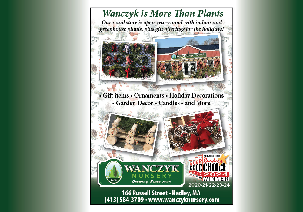 Design Samples Wancyzk Holiday-80